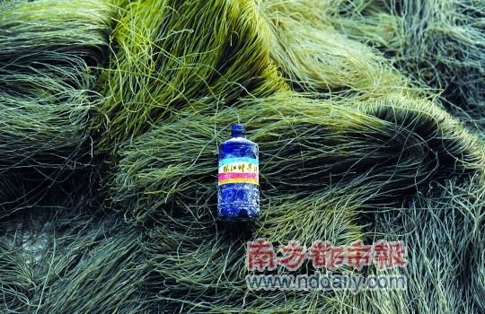 广东中山45吨墨汁粉条流入市场(图)--中国国情手册