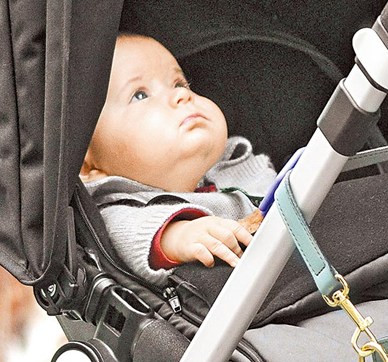 艾尔顿对爱子宠爱有加 孕母每日快递新鲜母乳(图)--中国国情手册