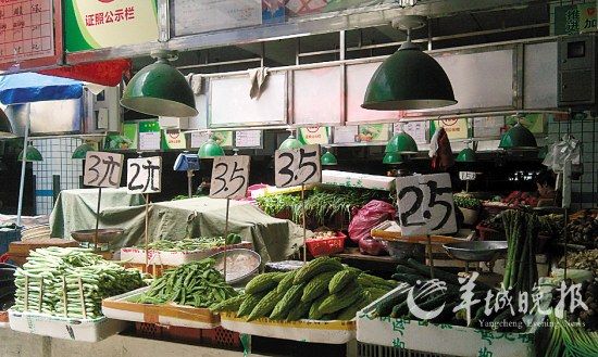 广东东莞菜价持续下跌 外地1元蔬菜无人问津--中国国情手册