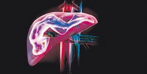 怕晦气、忧器官滥用 领驾照填器官捐赠表有阻力--中国国情