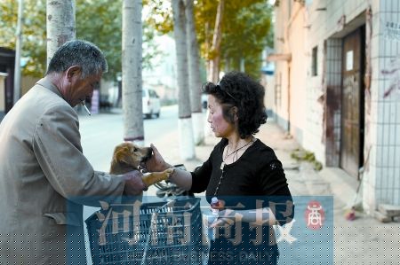 61岁退休女工变卖房产救助流浪狗(组图)--中国国情手册
