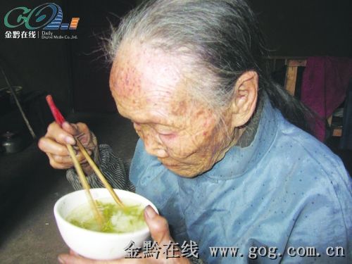 百岁长寿老人以茶当菜与茶结下不解之缘(图)--中国国情网