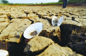 专家称湖北严重冬春连旱已达极端气候标准(图)--中国国情手册