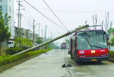超高卡车带倒电线杆砸中公交车(图)--中国国情网