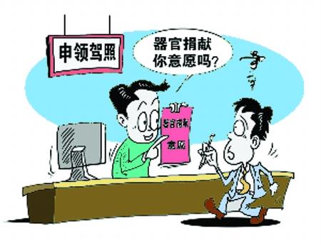 申领驾照或将登记器官捐献 国外已有先例--中国国情手册