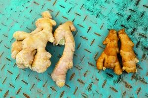 北京数家商户违规用硫磺熏蒸生姜后批发--中国国情网