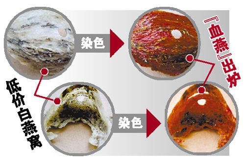 广东检验检疫局推出燕窝及其制品权威鉴定方法--中国国情