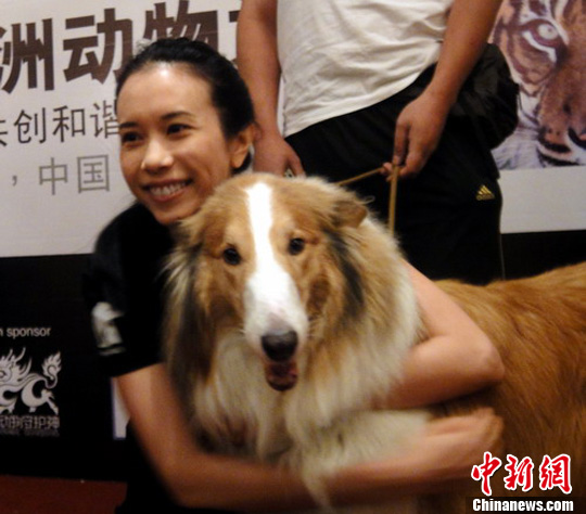 著名香港明星公益大使莫文蔚与狗同乐(图)--中国国情
