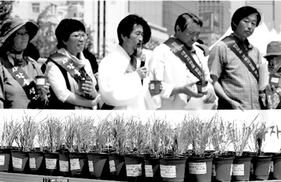 韩民众持水稻在首尔集会 要求恢复对朝粮援(图)--中国国情网