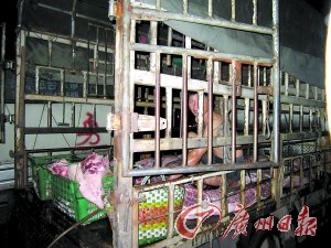 屠宰户当街给母猪肉注水 分解后摆上台面(组图)--中国国情网