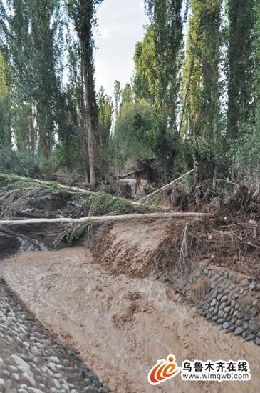 吐鲁番多地遭洪水侵害已致4人死亡(组图)--中国国情手册