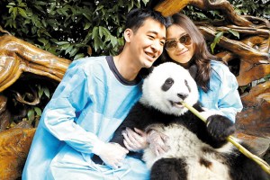 徐静蕾新片杀青 大熊猫抢镜演“亲密敌人”(图)--中国国情手册