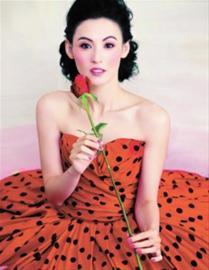 锋芝交手友人粉丝各自力挺 媒体明日北京围锋--中国国情