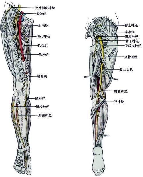 东北农大28师生做实验染病 重者或丧失生育能力--中国国情网